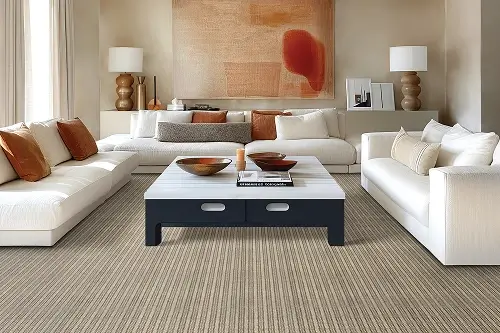 Browse Carpet Living room Carpet | Carpetland USA Granite & Flooring
