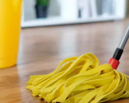vinyl-daily-care | Carpetland USA Granite & Flooring